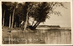 Cottages of N.L. Gage on Manistique Lake Cedar Springs, MI Postcard Postcard