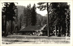 View of Hotel or Lodge Postcard