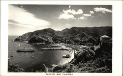 Avalon Bay & Chimes Santa Catalina Island, CA Postcard Postcard