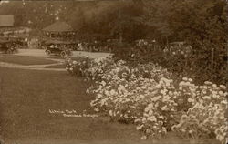 Lithia Park Postcard