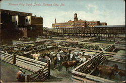 Kansas City Stock Yards Missouri Postcard Postcard