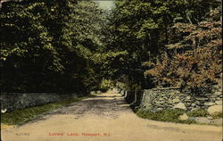 Lovers Lane Postcard