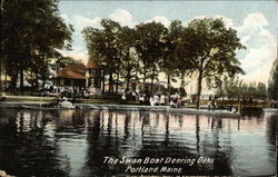 The Swan Boat Deering Oaks Postcard