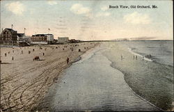 Beach View Postcard