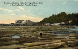 Hammond Lumber Mills, showing millions of feet of floating luber Astoria, OR Postcard Postcard