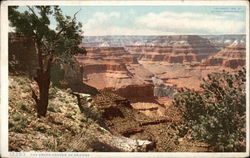 The Grand Canyon of Arizona Postcard