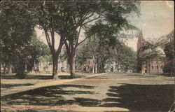 Yale University Campus New Haven, CT Postcard Postcard