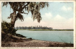 Wilmington River at Bonaventure Postcard