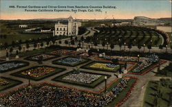 Formal Gardens and Citrus Grove from Southern Counties Building 1915 Panama-California Exposition Postcard Postcard