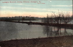 Lexington River showing Driveway Kentucky Postcard Postcard