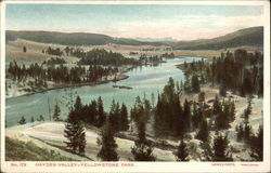 Hayden Valley Yellowstone National Park Postcard Postcard