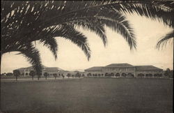 Front View, Stanford University Postcard