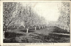 Apple Blossoms and Alfalfa Roswell, NM Postcard Postcard