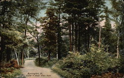 Scene in Ethan Allen Park Postcard