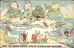 What the Summer Boarder Expects to Find in New Hampshire Postcard Postcard