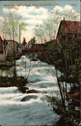 Hame Shop Falls, Sugar River Postcard