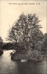 The island, Soucook River, Loudon, N.H Postcard