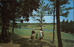 Championship Golf Course Cape Cod, MA Postcard Postcard