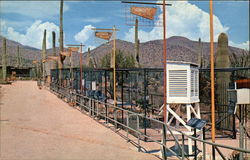 Watershed Exposition, Sonora Desert Museum Tucson, AZ Postcard Postcard