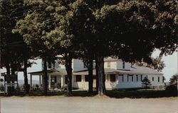 The Maples Motel and Restaurant Postcard