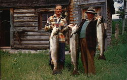 Grand Cascapedia Salmon Quebec Canada Postcard Postcard