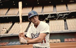 Steve Yeager, Los Angeles Dodgers Baseball Postcard Postcard