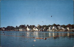 One of the sources of the Sardine Industry of Maine Postcard Postcard