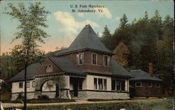 US Fish Hatchery St. Johnsbury, VT Postcard Postcard