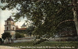 Peep at the old Mission Towers from beneath the Old Sycamore Tree Santa Barbara, CA Postcard Postcard