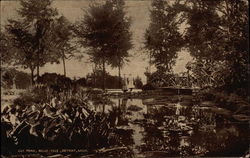 Lily Pond, Belle Isle Postcard