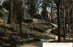 View of Madrona Park Seattle, WA Postcard Postcard