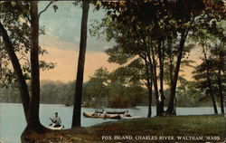 Fox Island, Charles River Waltham, MA Postcard Postcard