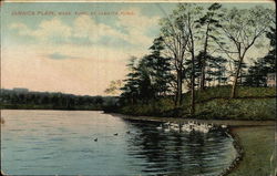 Fowl at Jamaica Pond Jamaica Plain, MA Postcard Postcard