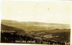 Skyline Drive Postcard