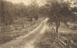 Old Country Road Postcard