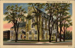 Elmira College Library New York Postcard Postcard