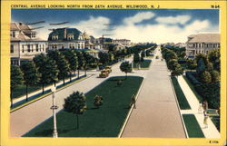 Central Avenue Looking North from 26th Avenue Wildwood, NJ Postcard Postcard