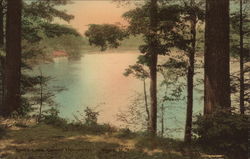 Cornell University - Beebe Lake Ithaca, NY Postcard Postcard