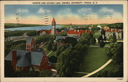 Cornell University - Campus and Cayuga Lake Ithaca, NY Postcard Postcard