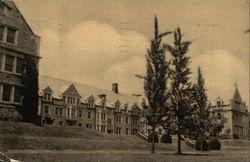 Swarthmore College Pennsylvania Postcard Postcard