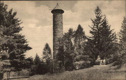 Tower and Old Pine Stump, Dartmouth College Postcard