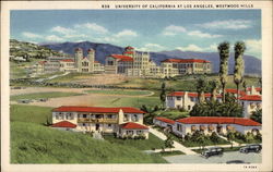 University of California - Westwood Hills Los Angeles, CA Postcard Postcard