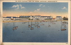 The White Elephant From the Harbor Postcard