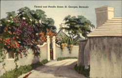 Thread and Needle Street St. Georges, Bermuda Postcard Postcard