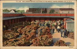 The Largest Sponge Exchange in the World Tarpon Springs, FL Postcard Postcard