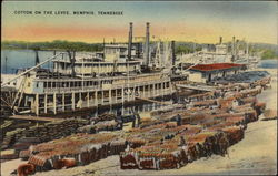 Cotton on the Levee Memphis, TN Postcard Postcard