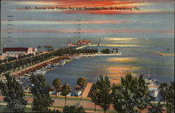 Sunrise Over Tampa Bay and Recreation Pier Postcard