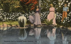 Gardenia Pool in Sarasota Jungle Gardens Postcard