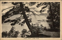 Sandy Pond Postcard