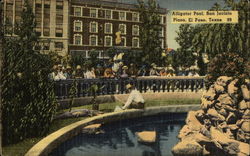 Alligator Pool, San Jacinto Plaza El Paso, TX Postcard Postcard